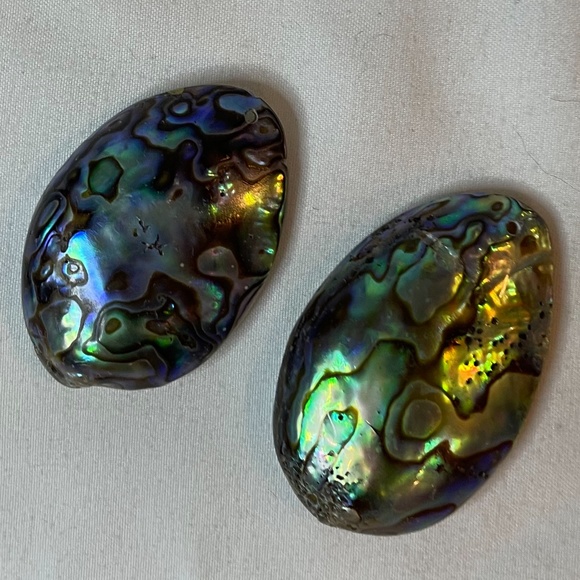 Gorgeous abalone shell blue turquoise shiny statement earrings! - Picture 1 of 7